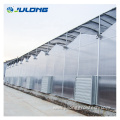 hydroponics systems polycarbonate green house